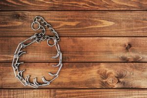 Gesetzlich verbotene Hundehalsbänder