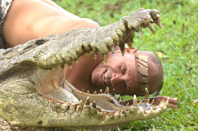 Krokodil und Mensch