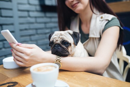Millennials und Haustiere: eine atypische Beziehung