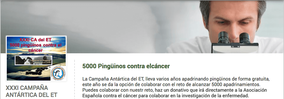 Pinguine vereint mit Menschen im Kampf gegen Krebs und Aussterben