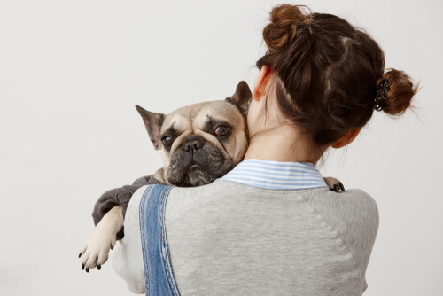 Hunde werden nicht gerne umarmt