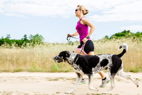 Fitness mit dem Hund macht Spaß und fördert die Gesundheit
