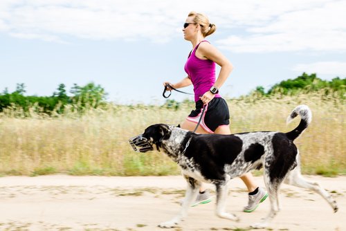 Joggen mit dem Hund