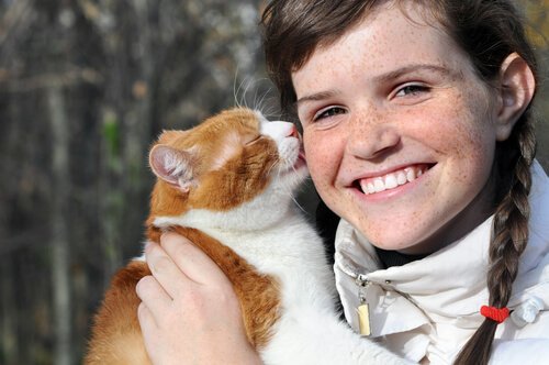 Katze leckt das menschliche Gesicht ab