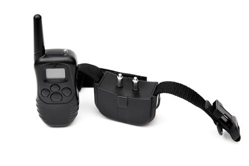 Konsequenzen des Anti-Bell-Halsbandes