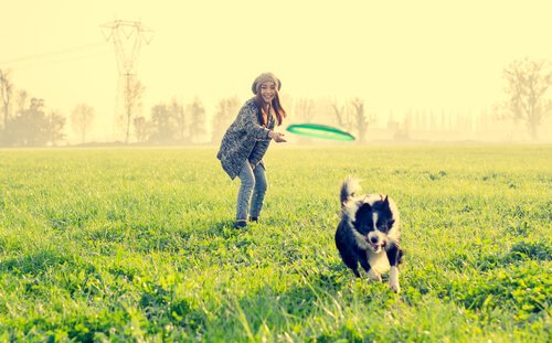 9 lustige Aktivitäten für deinen Hund