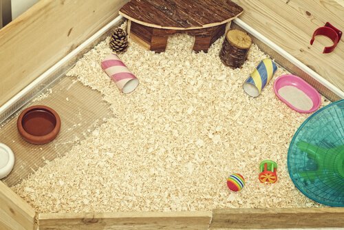 Spielzeug für Meerschweinchen