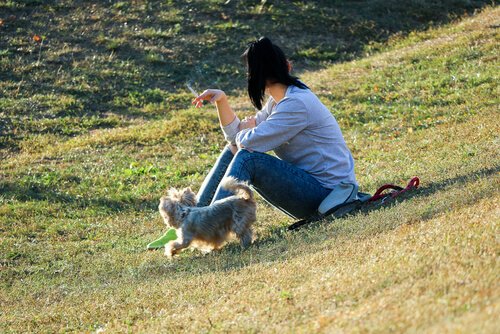 Tabakrauch schädigt Hunde