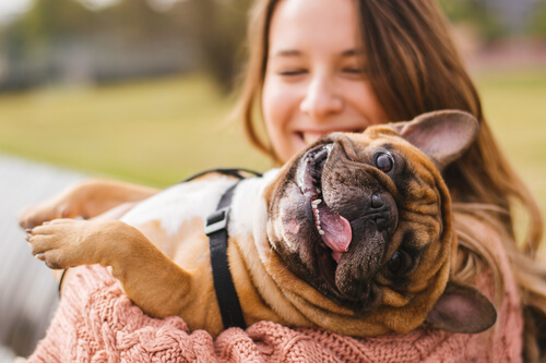 Was tun, wenn der Hund unter trockener Haut leidet?