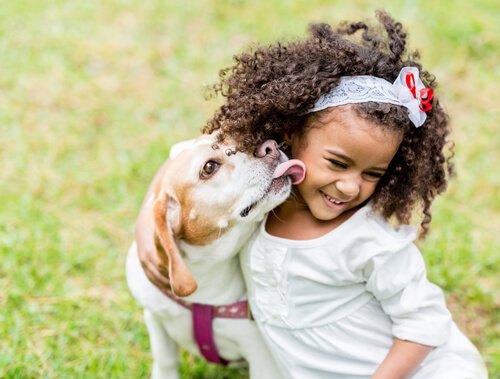 Wie sollten sich Kind und Hund zueinander verhalten?
