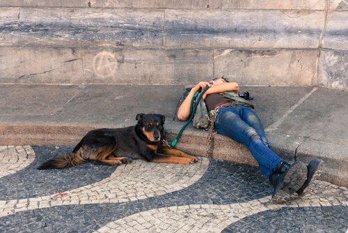 5 herrliche Reiseziele in Europa, die du mit deinem Hund besuchen kannst