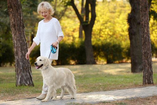 So macht der Spaziergang im Park Spaß