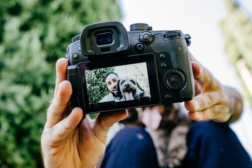 4 Tipps, um gute Fotos von Haustieren zu machen