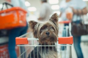 Kann man den Einkauf mit dem Hund erledigen?