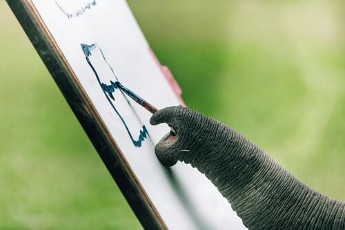 Malende Elefanten werden oft ausgenutzt.