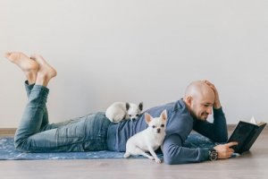 Modeerscheinung Miniaturhaustiere