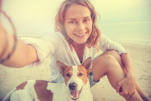 Reiseziele für Hundebesitzer geben Hunden meist Zutritt zu Geschäften und öffentlichen Verkehrsmitteln.