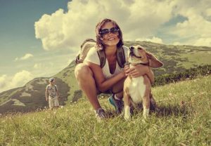 5 Reiseziele für Hundebesitzer in Europa
