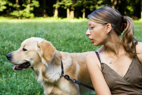 Tipps und Ratschläge zur Aufmerksamkeit bei Hunden
