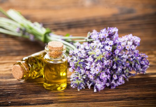 Hausgemachte Fliegenschutzmittel aus Essenzen