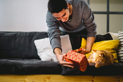 Katzen lieben Geschenke