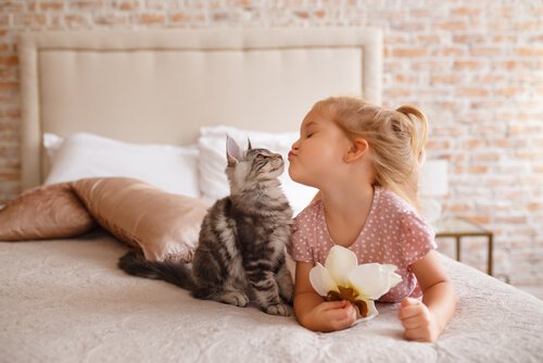 Kind und Katze küssen sich auf Bett