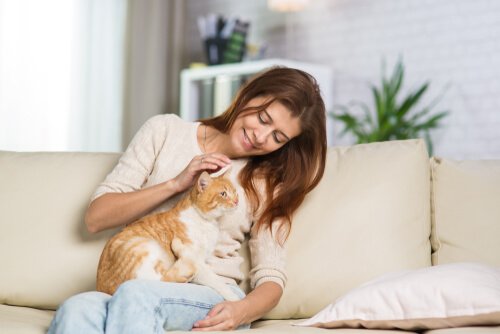 Mit der Katze spielen