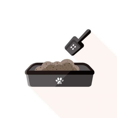 Hundetoilette - Schaubild