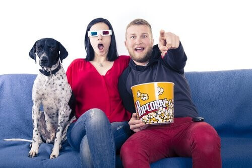Filme für dich und deinen Hund