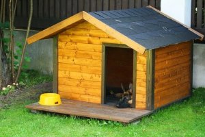 Hundehütte einrichten und dekorieren: 5 hilfreiche Tipps
