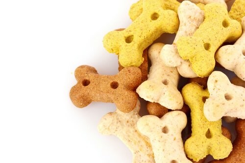 Snacks, die du deinem Hund nicht geben solltest
