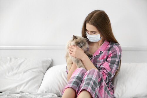 Allergisch gegen Katzen? Symptome