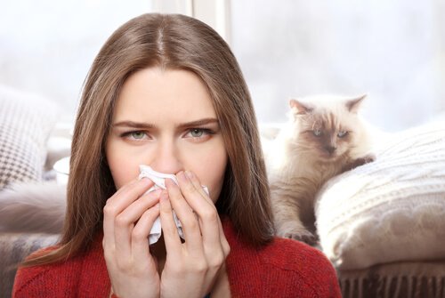 Allergisch gegen Katzen! Was kann ich tun?