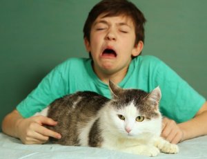 Bin ich allergisch gegen Katzen?