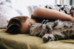 5 Dinge, die du bedenken solltest, bevor du die Katze im Bett schlafen lässt