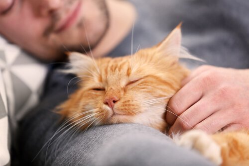 Mann hat Katze im Arm