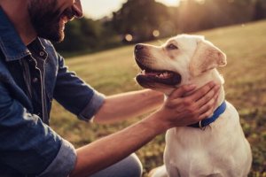 Was ist Hunde-Ethologie?