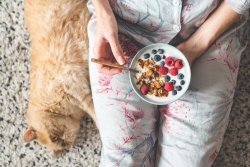 Welche Früchte für Katzen - Himbeeren, Blaubeeren