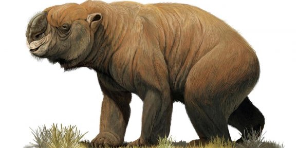 Megafauna: Australiens ausgestorbene Urzeittiere