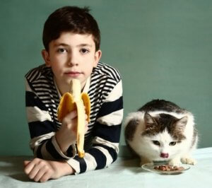 Welche Früchte darf deine Katze fressen?