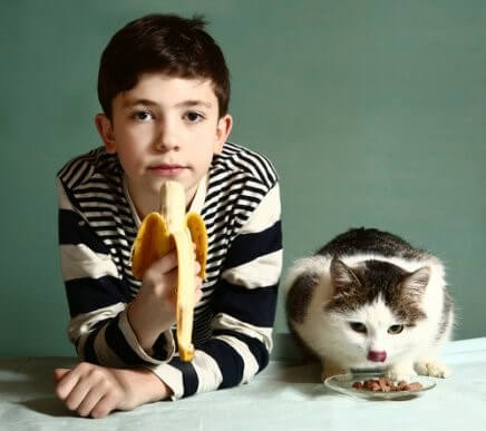 Welche Früchte darf deine Katze fressen?