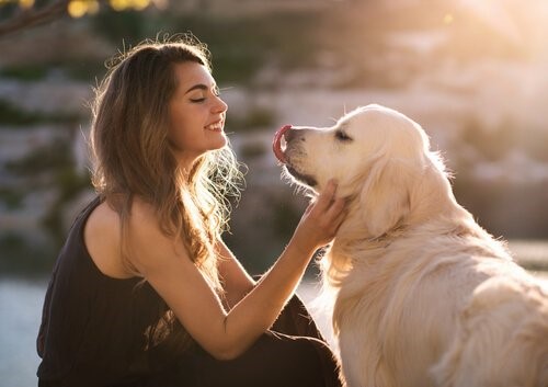 Hund-Besitzerin