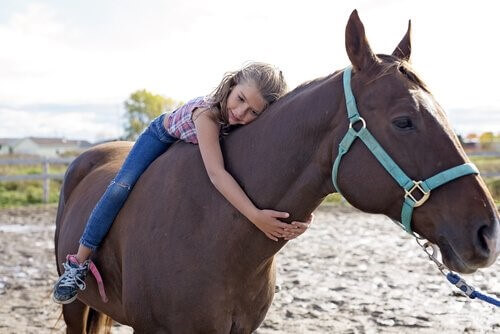 Pferd-Mädchen