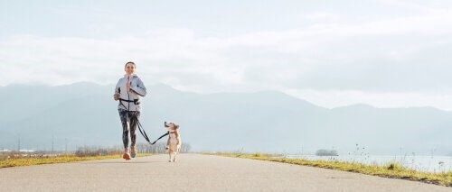 Vorteile des Trail Running mit Hund