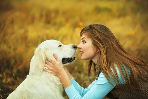 Die sozialen Fähigkeiten des Hundes Deine Tiere