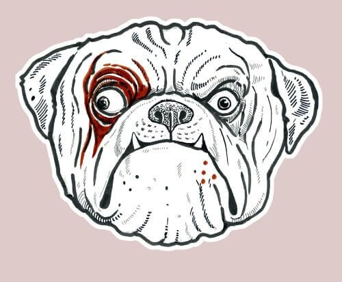 Zeichnung-Hund