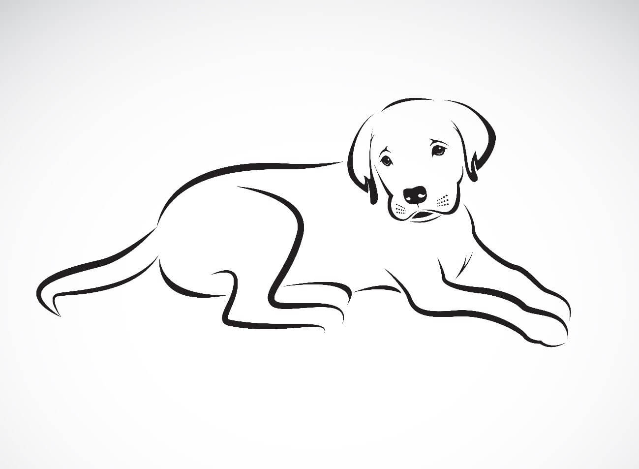 Zeichnung-liegender-Hund