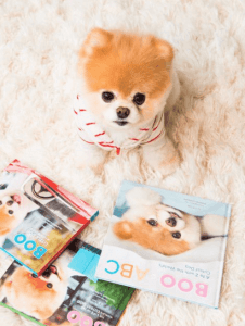 Buddy Boo Waggy Tails