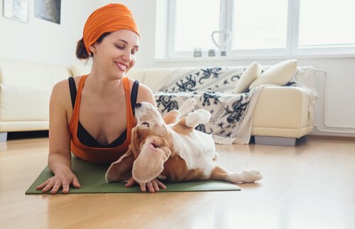 Der Nutzen von Doga für Hunde