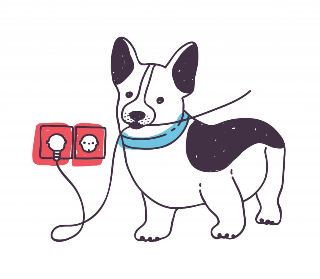 Unfälle bei Haustieren aufgrund von Elektrizität